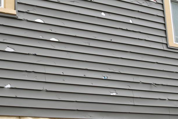Best Recycling Services for Junk  in Gloucester, MA